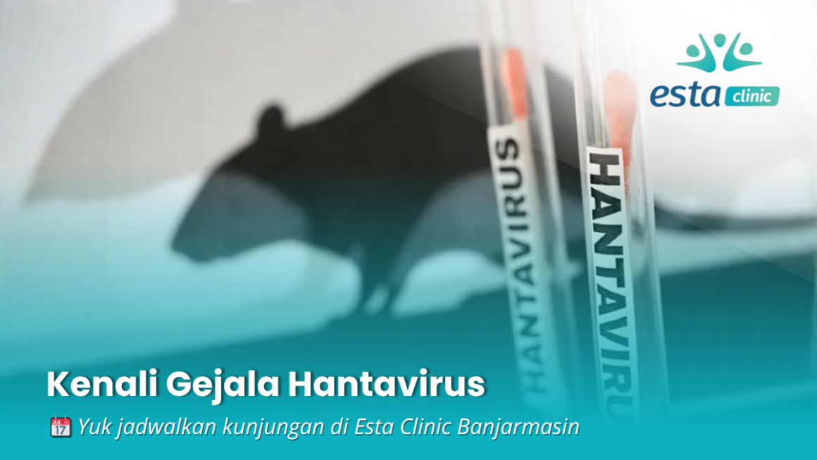Hantavirus: Sejarah, Penyebaran, dan Update Kasus di Indonesia Tahun 2026