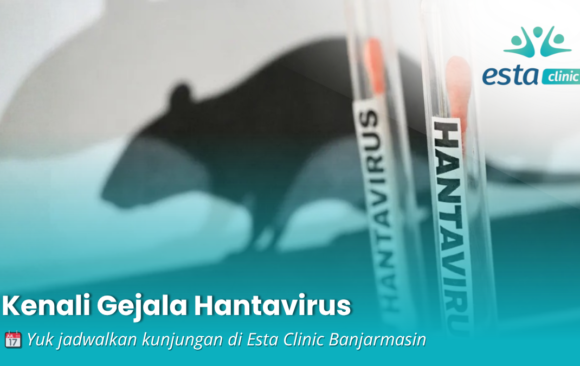 Hantavirus: Sejarah, Penyebaran, dan Update Kasus di Indonesia Tahun 2026